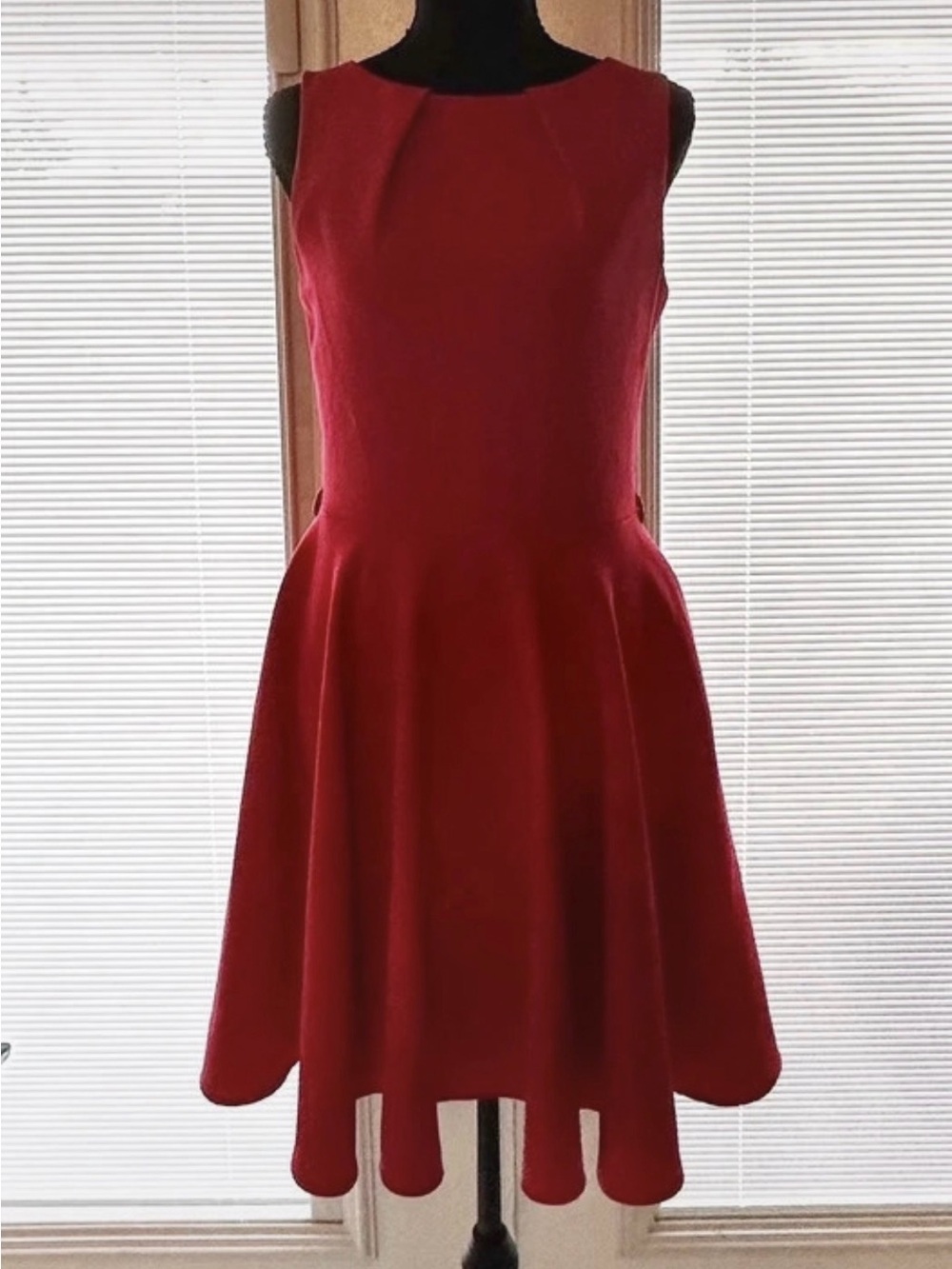 Closet Red Sleeveless Fit & Flare Mini Dress